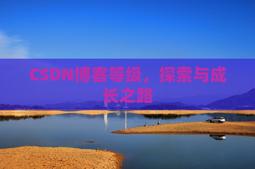CSDN博客等级，探索与成长之路